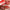 CREBRAND × OLIBOLLA Mirror Shine Lip Balm supplier product view 3