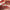 CREBRAND × OLIBOLLA Mirror Shine Lip Balm supplier product view 4